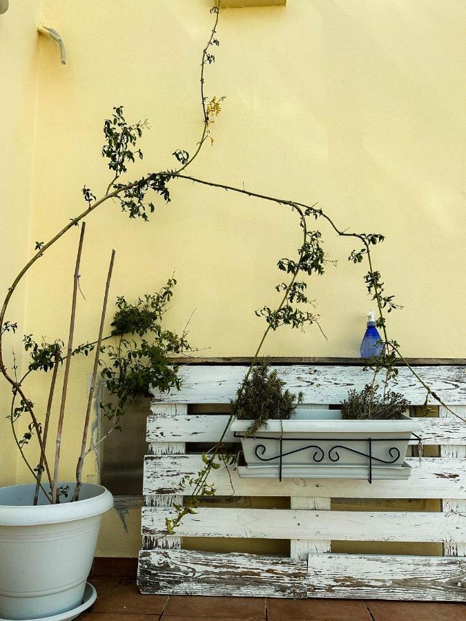 Beachnest Apartment Agios Nikolaos Buitenkant foto